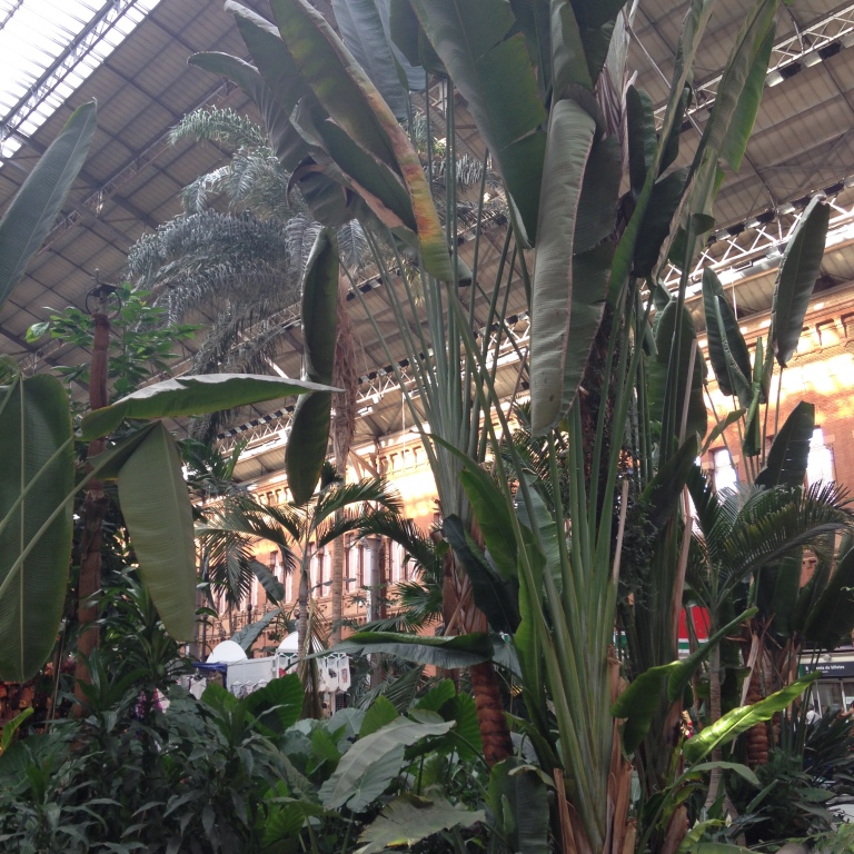 Tropical garden inside Madrid station. 